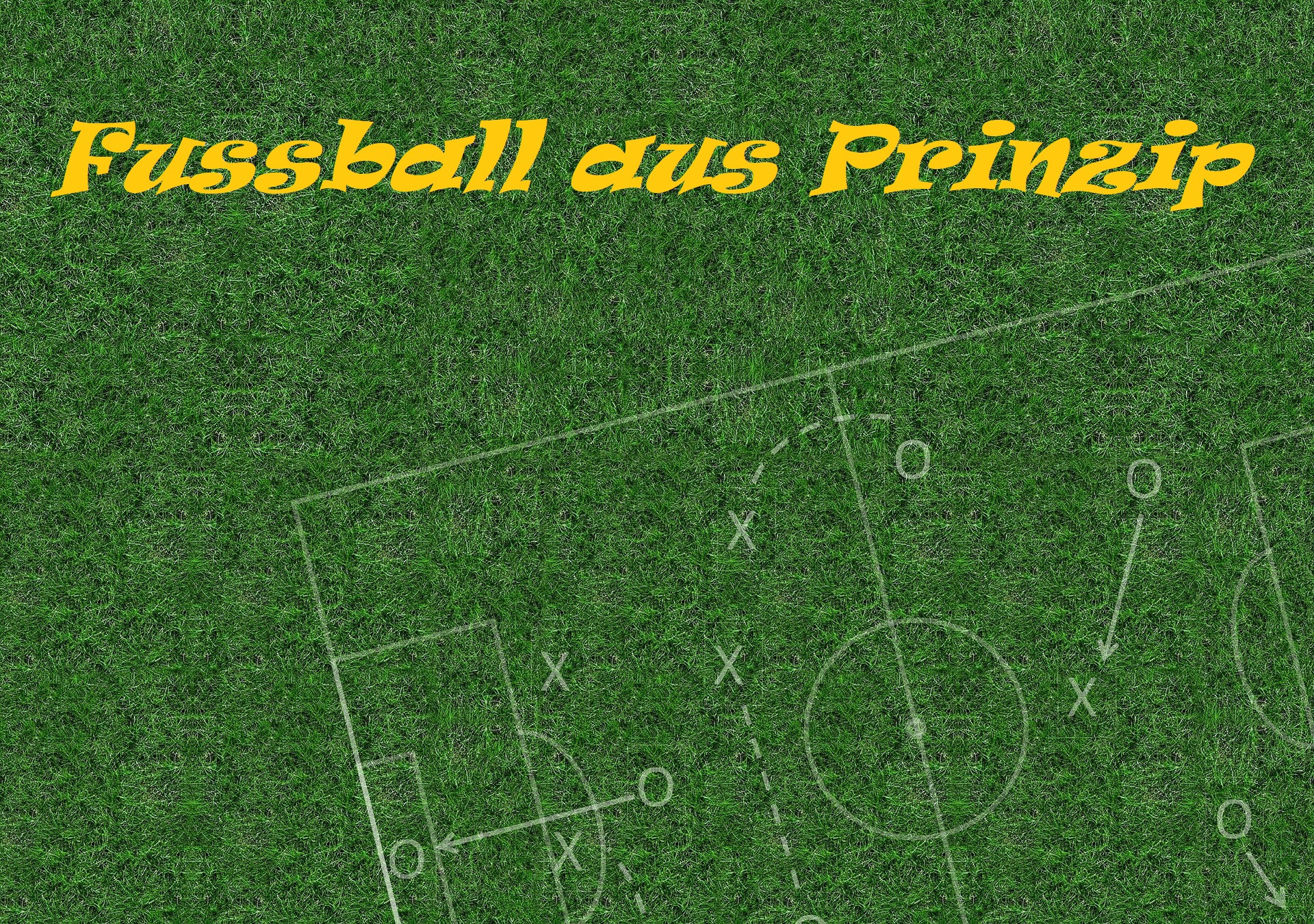 Fussball aus Prinzip LOGO